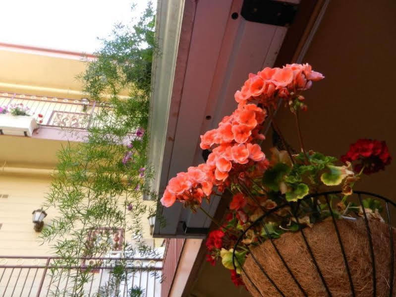 Signature Inn San Francisco Marina District Экстерьер фото